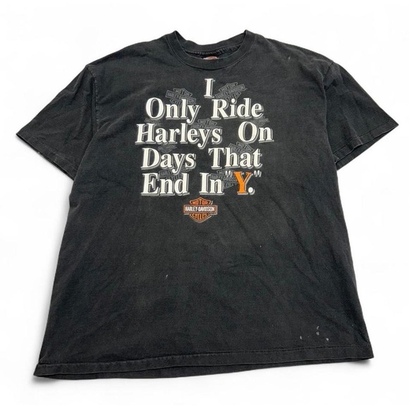 Harley-Davidson Other - Vintage 1999 Harley-Davidson Chattanooga TN T-Shirt Black XL Days End In Y